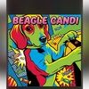 beaglecandi